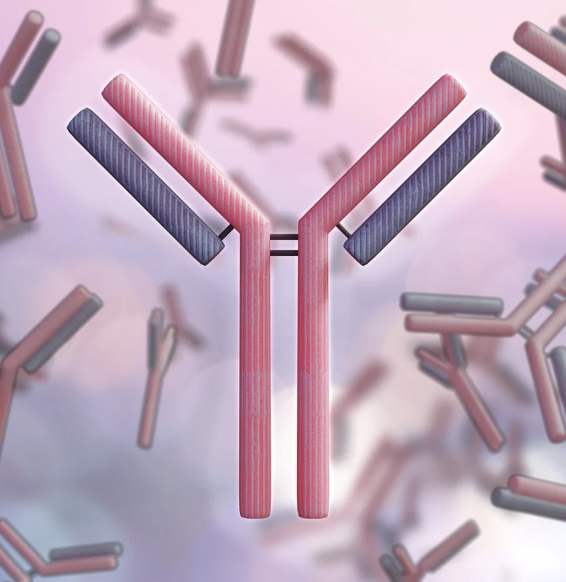 urticaria immunology